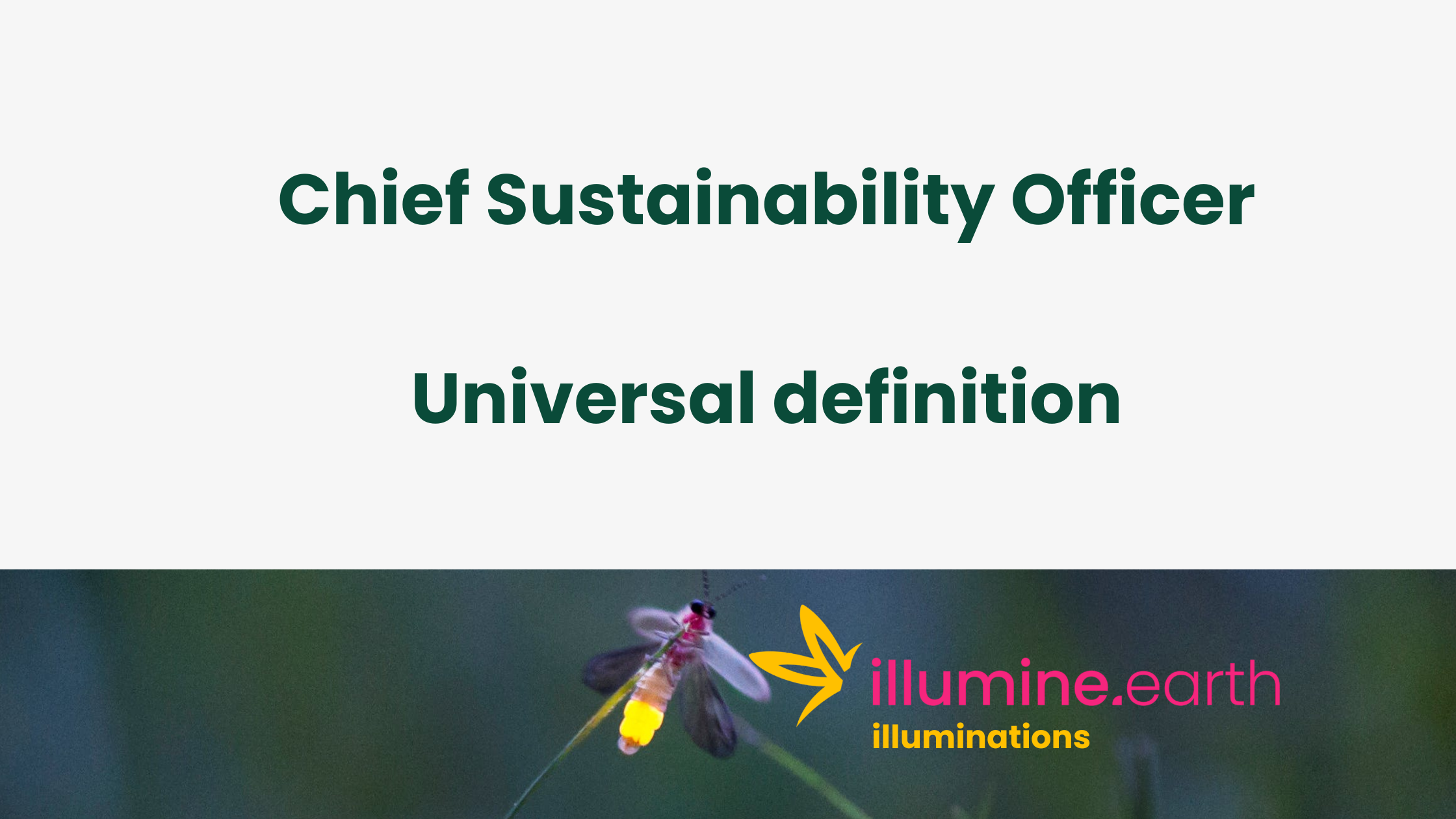 Chief Sustainability Officer Universal Definition