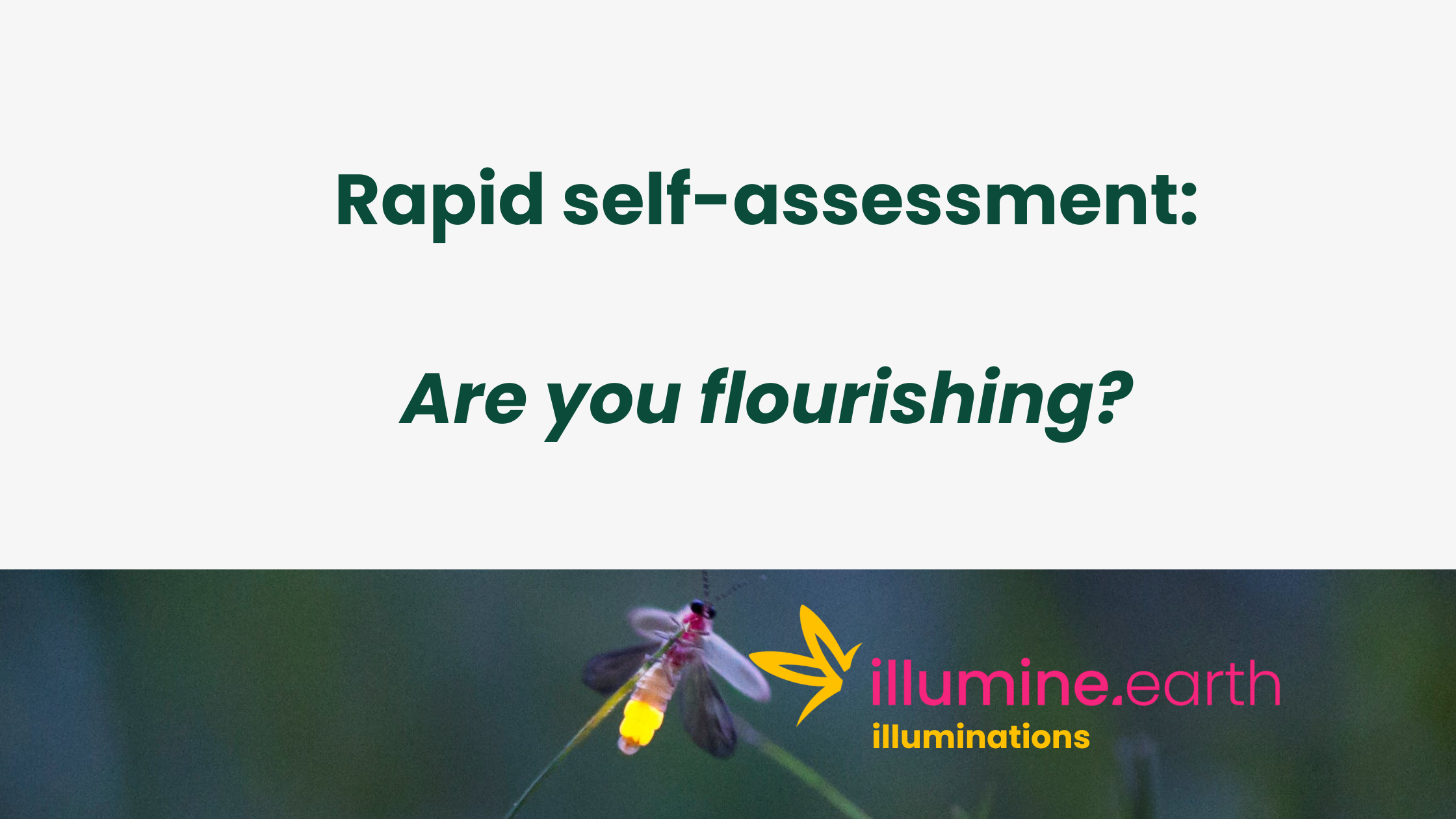 Rapid Self-Assessment: Are you flourishing?
