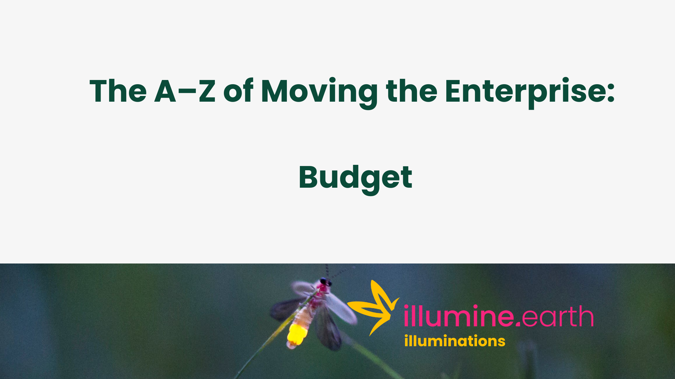 Enterprise A-Z: Budget