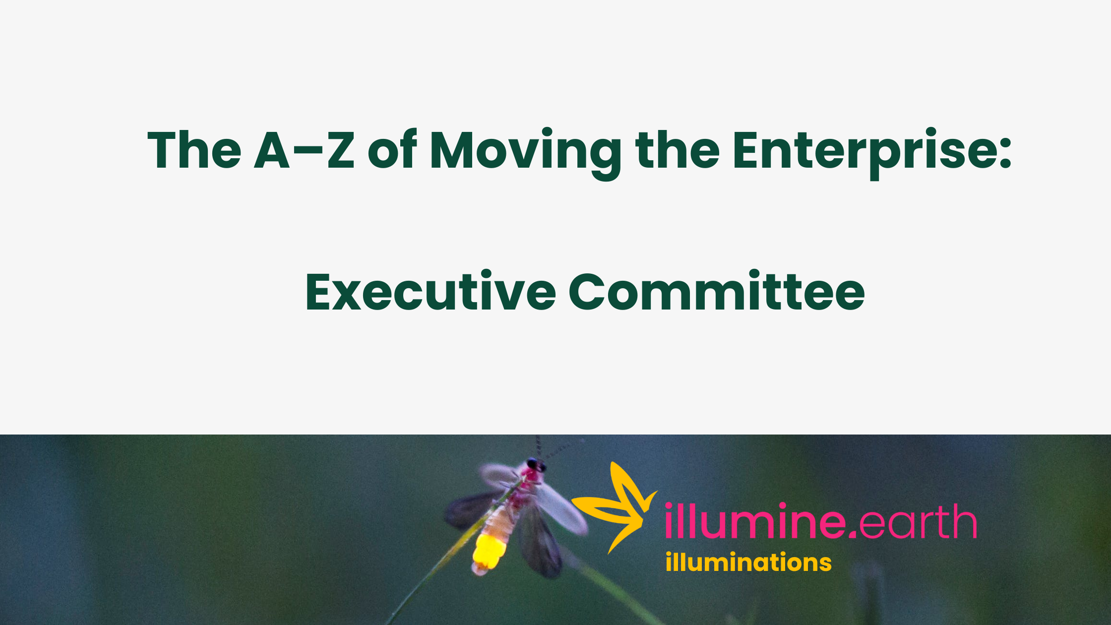 Enterprise A-Z: Executive Committee