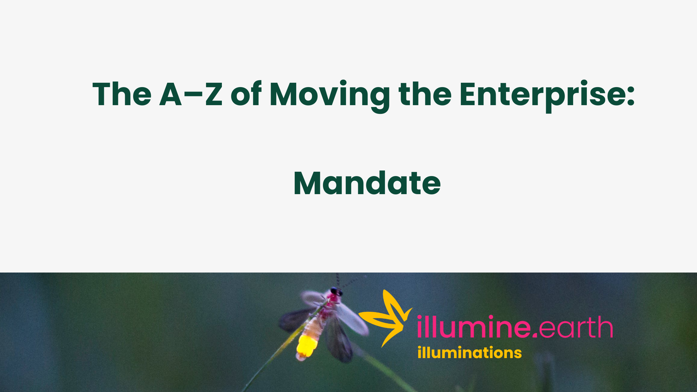 Enterprise A-Z: Mandate