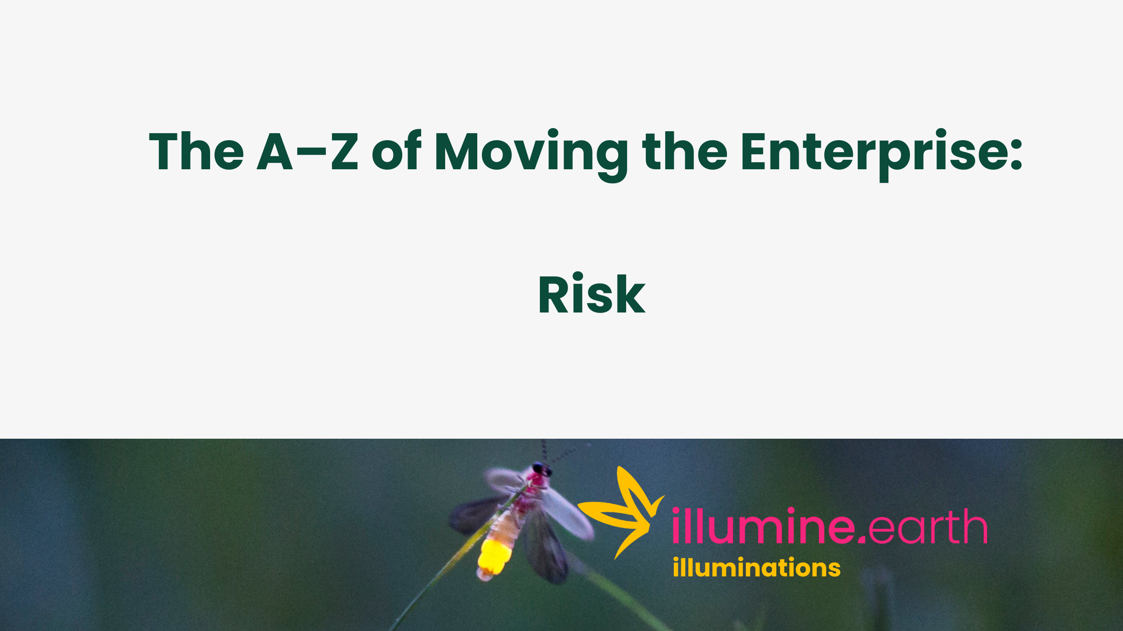Enterprise A-Z: Risk