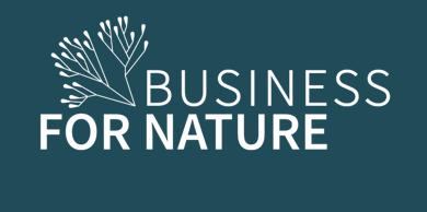 Logo for Business for Nature featuring a stylized tree with branching lines.