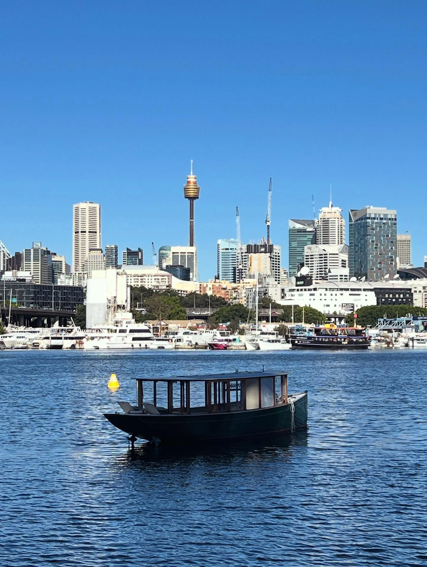 Blackwattle Bay and an old boat I wish I knew the owner of to go for a putt. #sydneyharbour #blackwattlebay #boats #boatlover