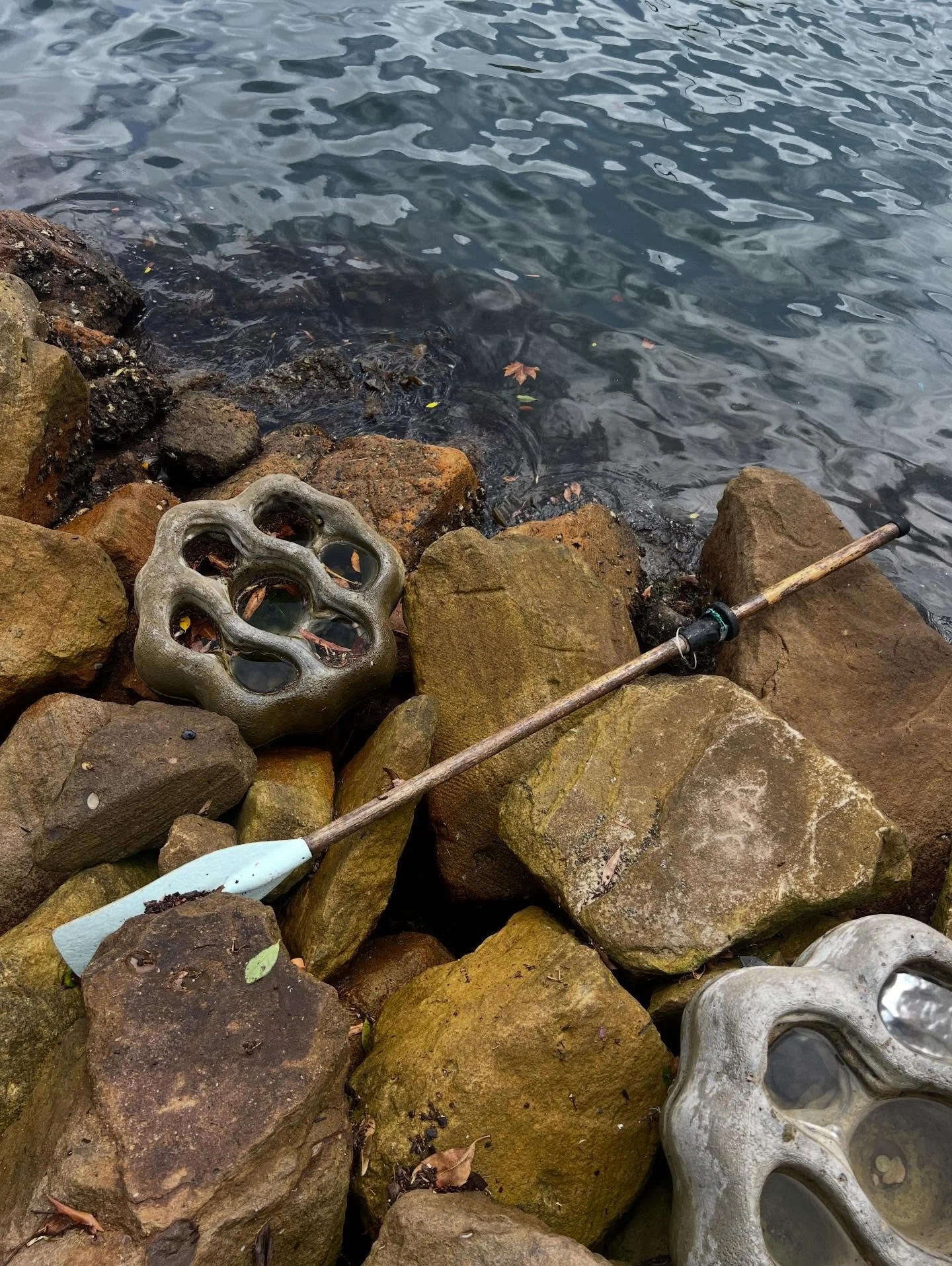 Man made rock pools on a man made rock foreshore. With an oar for flotsam. #sydneyharbour #flotsam #rockpool