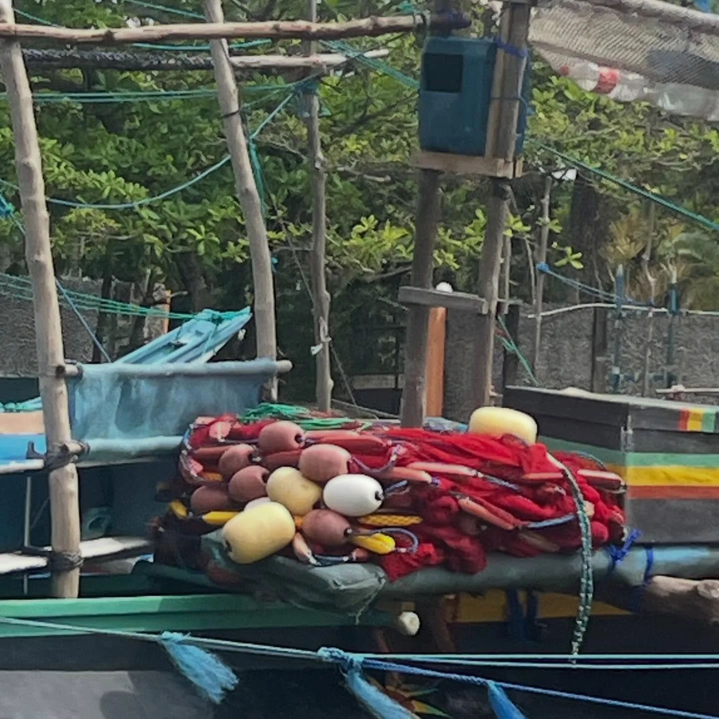 Sri Lanka fishing nets #srilanka #fishingnet #solotravels