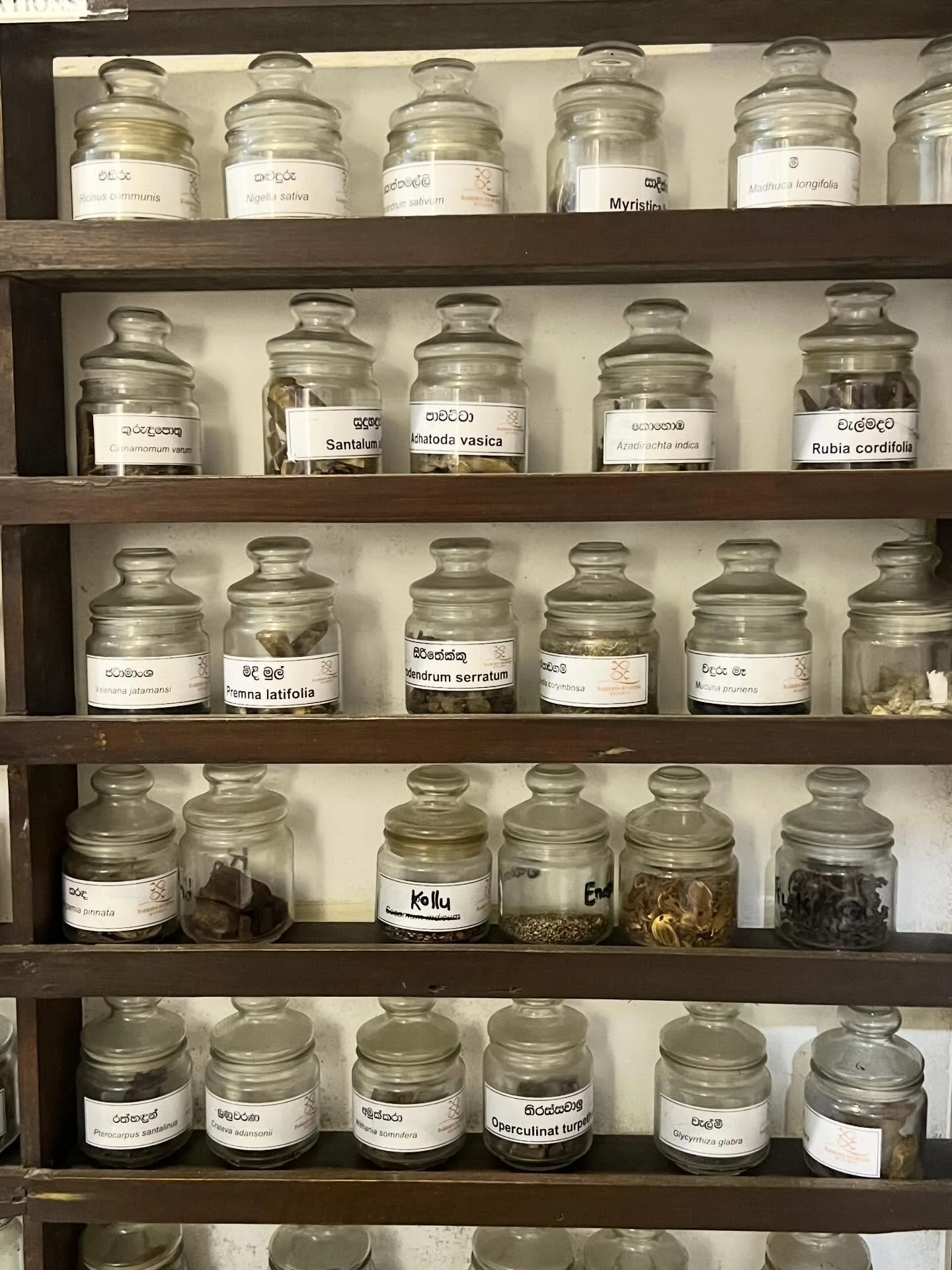Real life working herbal apothecary Ayurveda style #barberynayurvedaresorts
