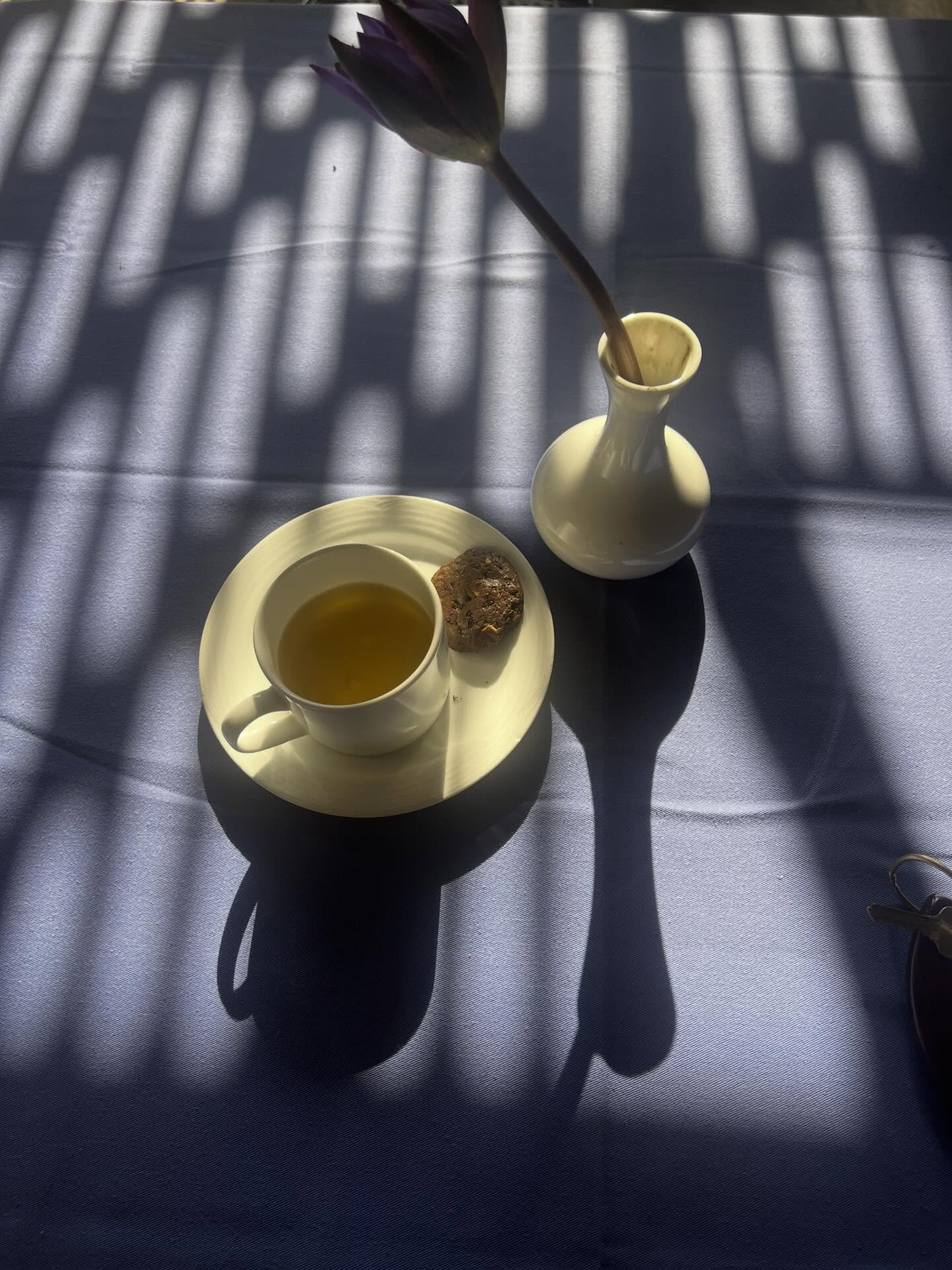 Afternoon tea calm, among the chaos of the world. Deep breaths 🙏🏻