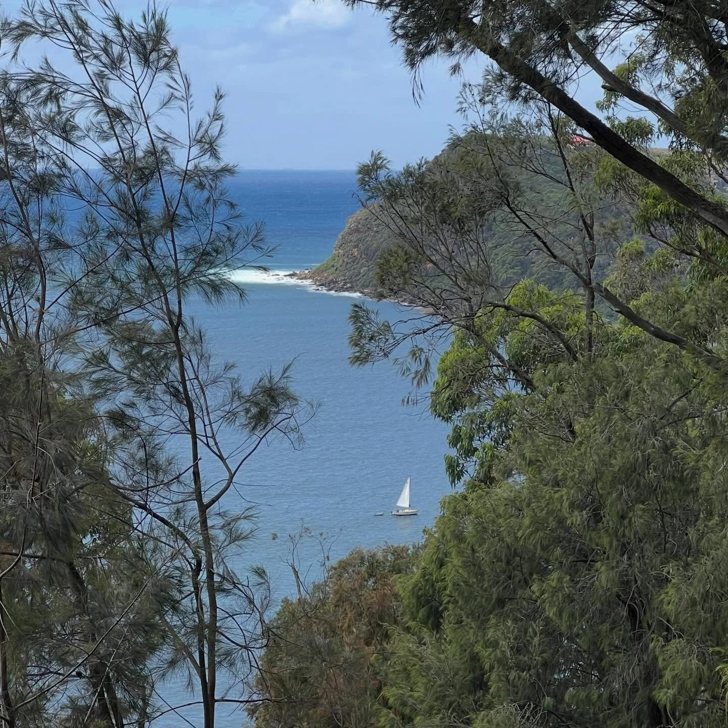 Pittwater views on a hike with family x
