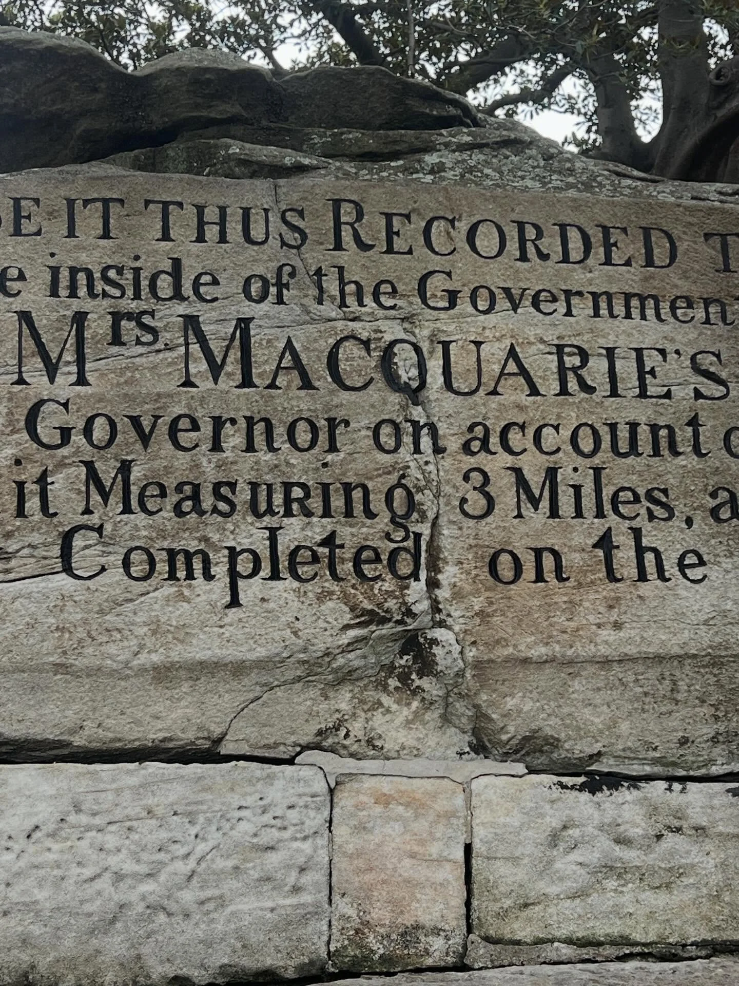 Font in sandstone. The combination. Hand done. Colour palette. Best seat on the Harbour. #ladymacquarieschair