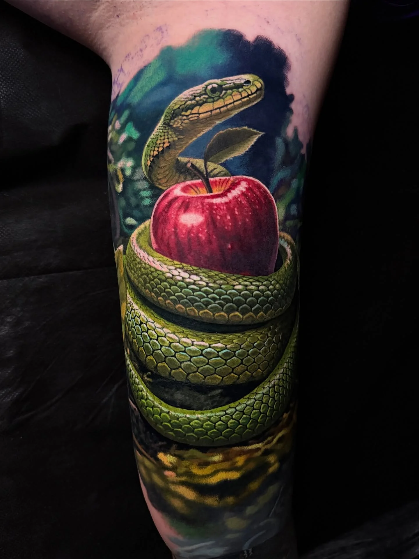 Got to add this snake and apple to Rachael&rsquo;s sleeve last week! 
Can&rsquo;t wait to show you guys the progress we&rsquo;re making on this sleeve.

Thanks for sitting so well Rachael, I know that inner bicep wasn&rsquo;t easy!

Done over 2 days 