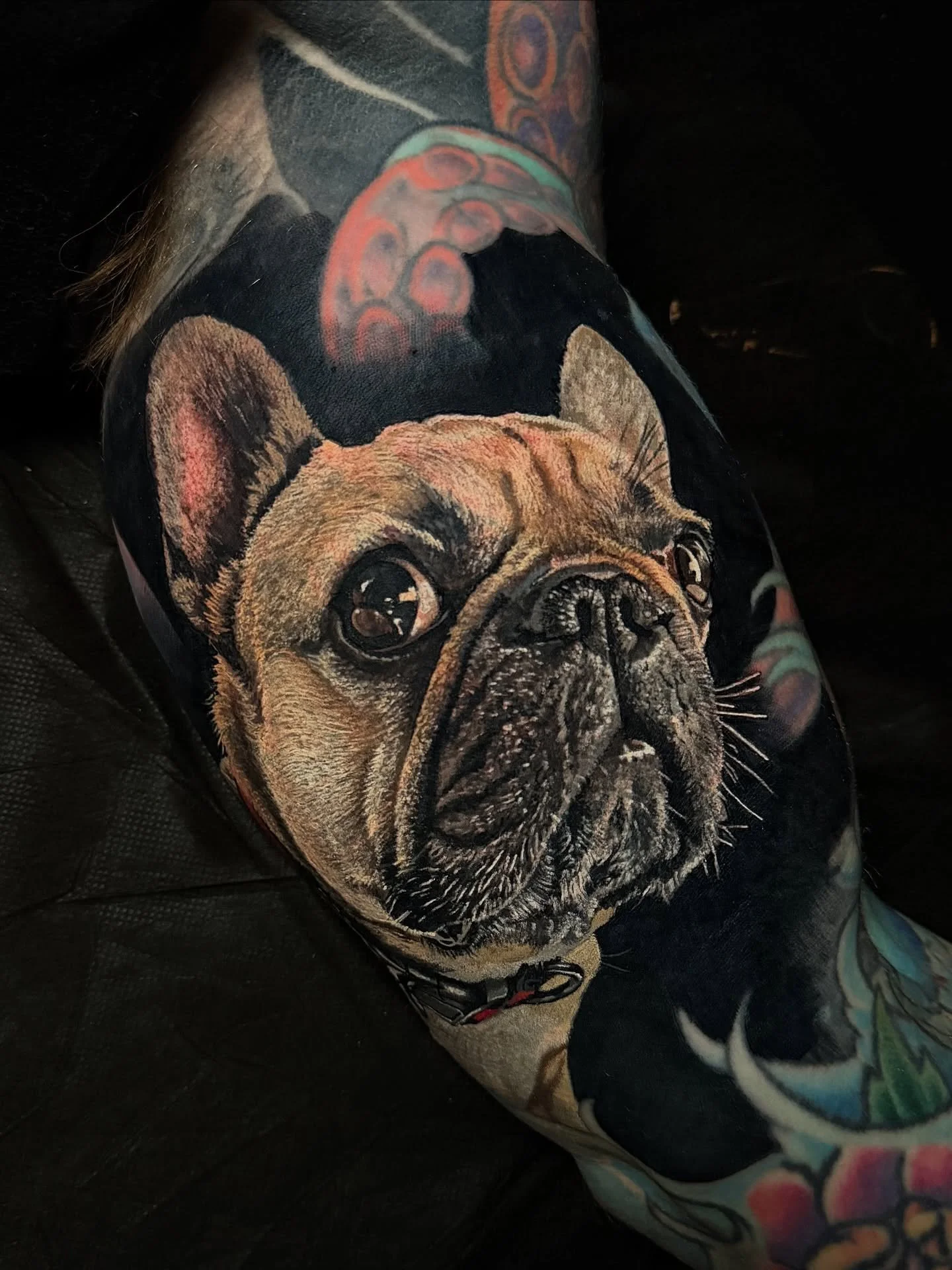 Got to this cover up on @mikedevries of his best friend! 
Thanks for the trust brother, when u came@to me and asked if I like challenges I had no idea what u had in store for me hahaha.

Swipe to the left to see what is under this beautiful fur baby!