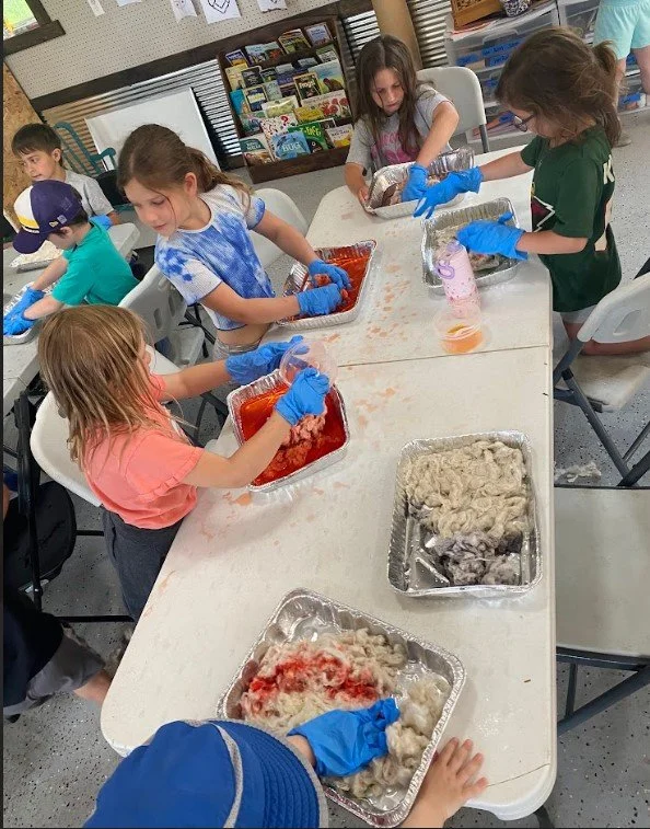 Screenshot 2025-06-22 194934.jpg