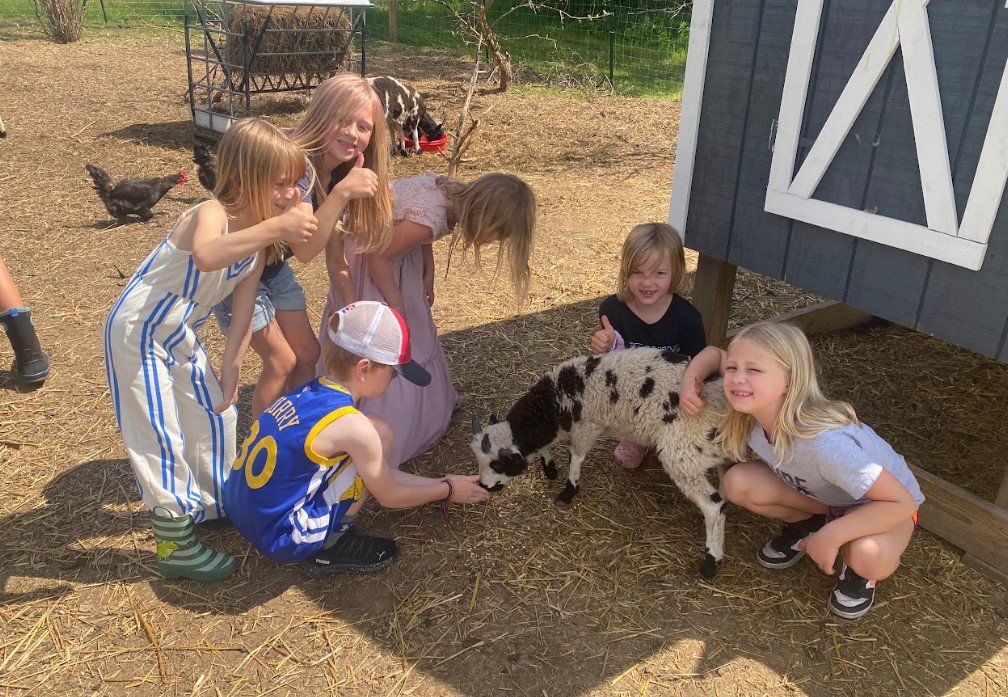 Screenshot 2025-06-22 195150.jpg