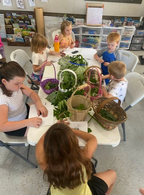 Screenshot 2025-06-22 195804.jpg