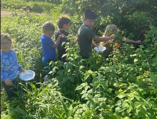 Screenshot 2025-07-05 171755.jpg