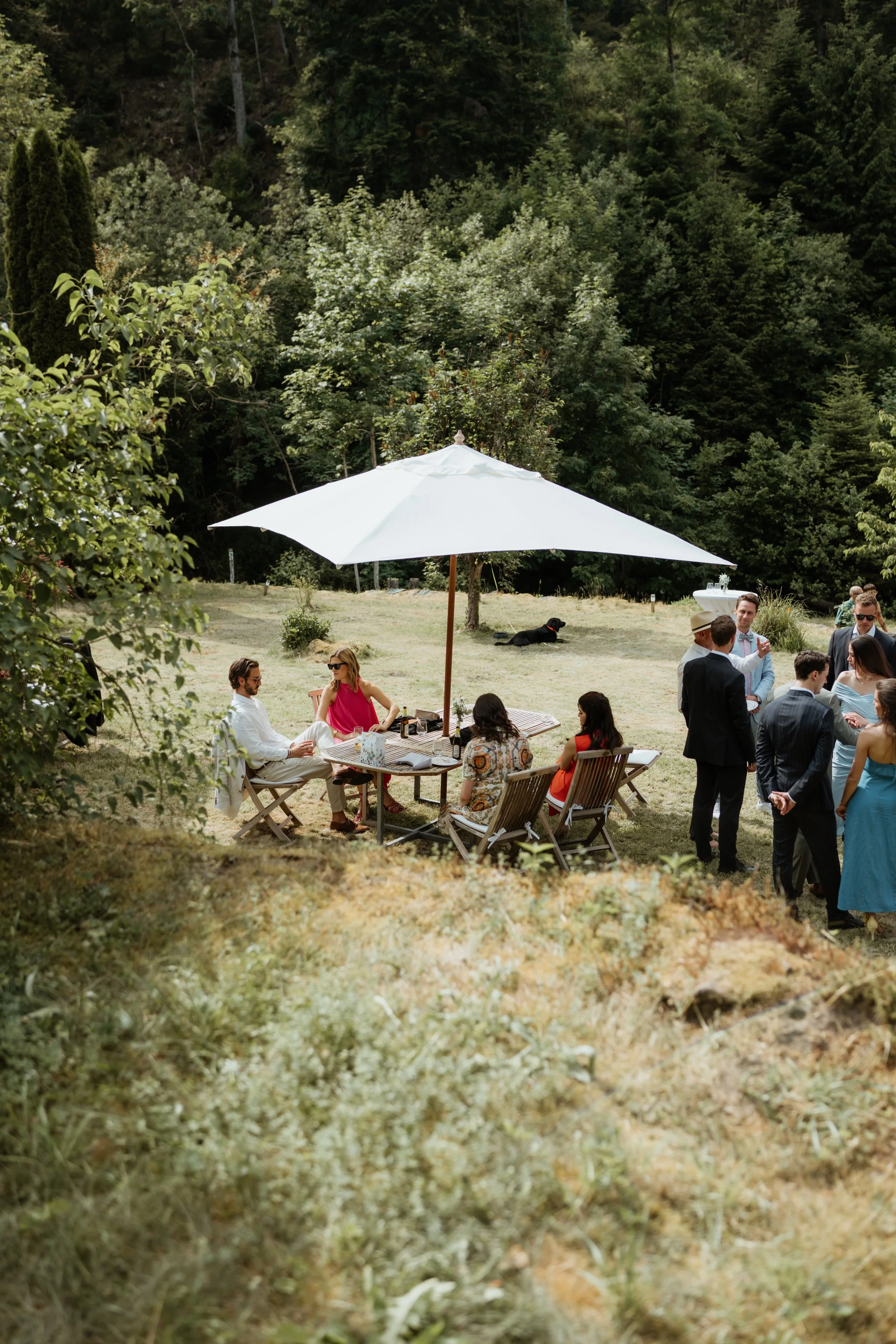 Menschen bei einer Gartenparty im Grünen, einige sitzen an Tischen im Schatten eines großen Sonnenschirms, während andere sich in kleinen Gruppen unterhalten. Es gibt Bäume und eine natürliche Landschaft im Hintergrund.