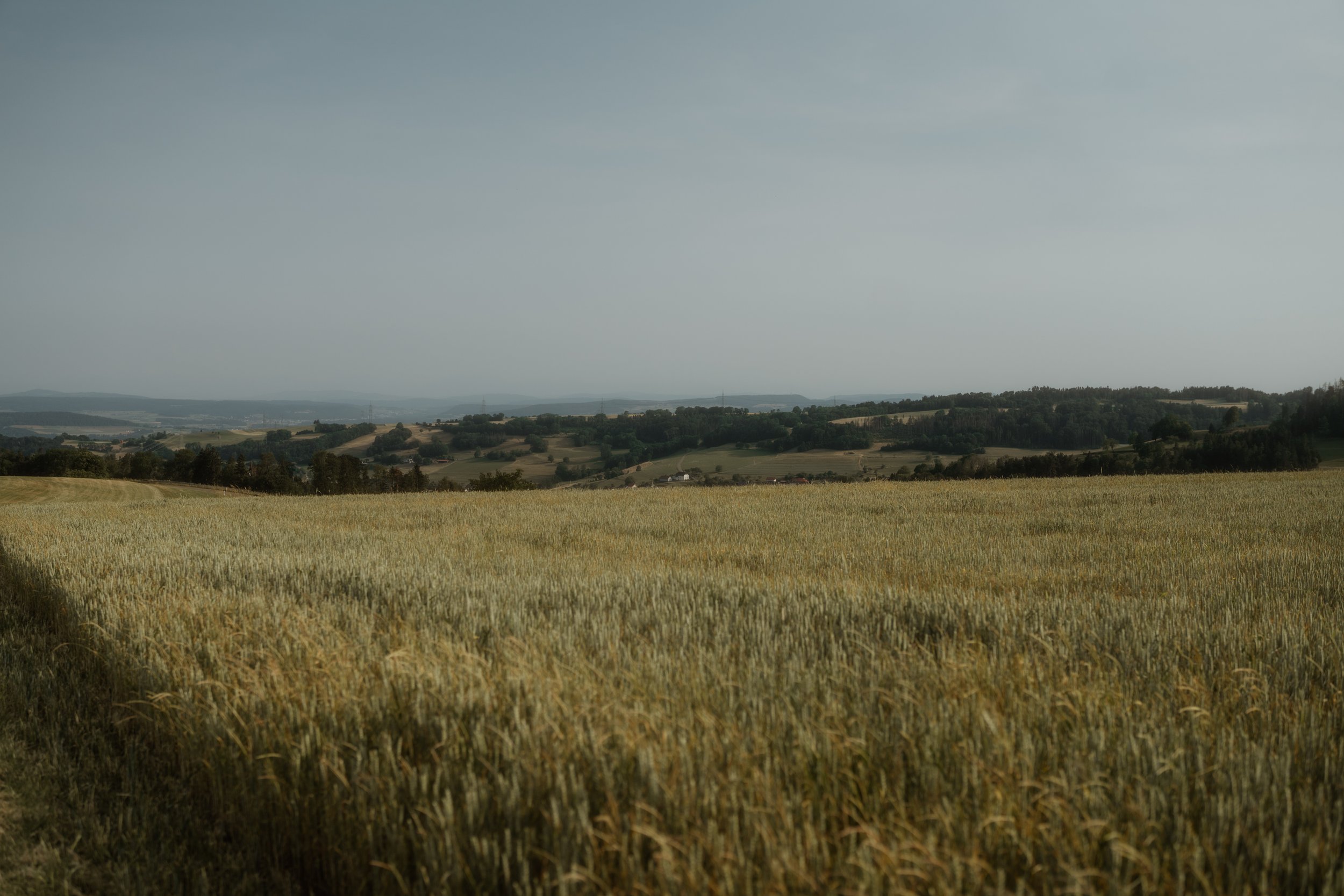 Landschaft mit Feldern, Bäumen und Hügeln, unter einem bewölkten Himmel.