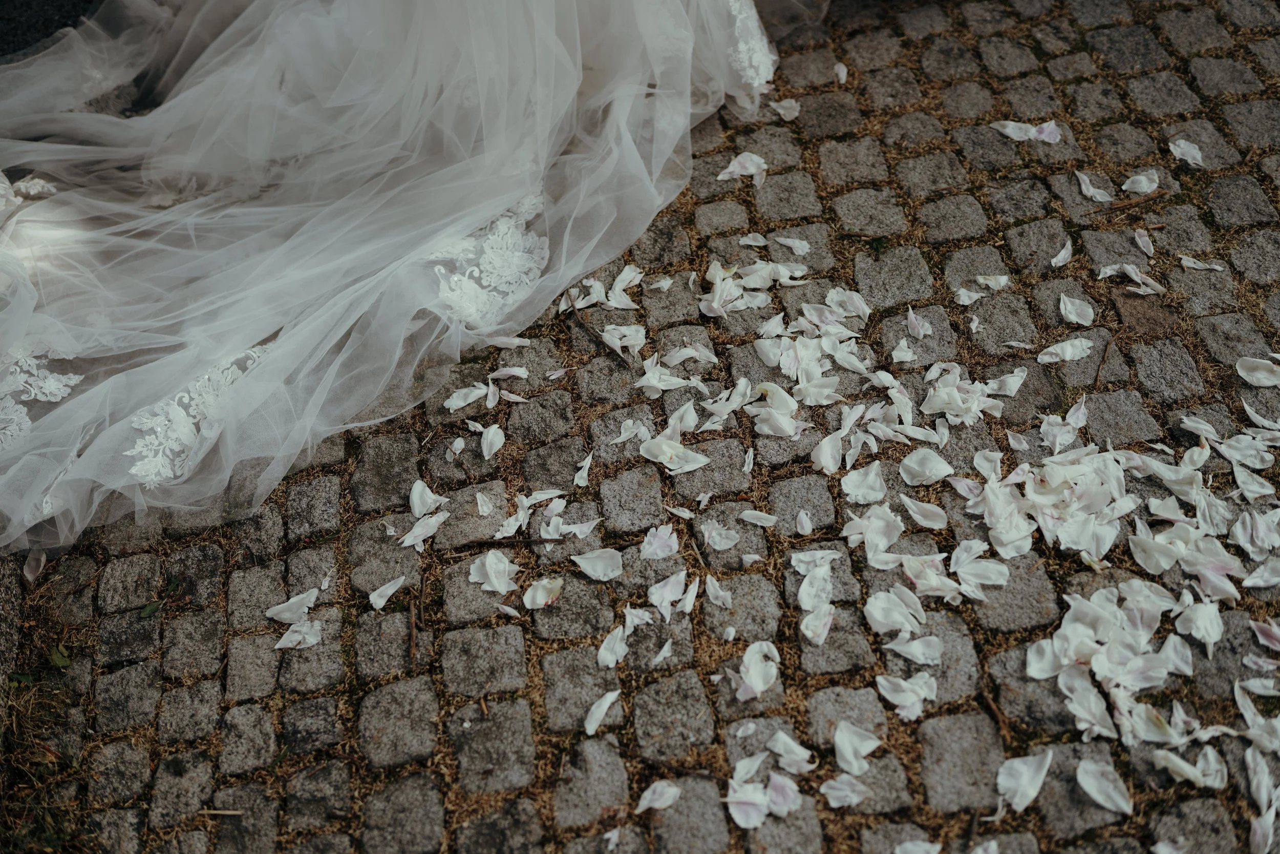 Brautkleid liegt auf Kopfsteinpflaster, umgeben von weißen Blütenblättern.