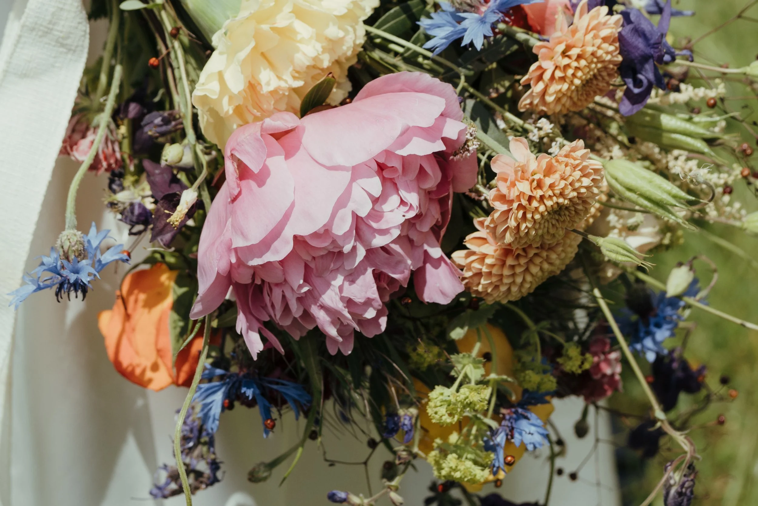 Blumenstrauß mit verschiedenen bunten Blumen, darunter pinke, gelbe, blaue und orange Blüten, mit grünen Blättern und kleinen roten Beeren.