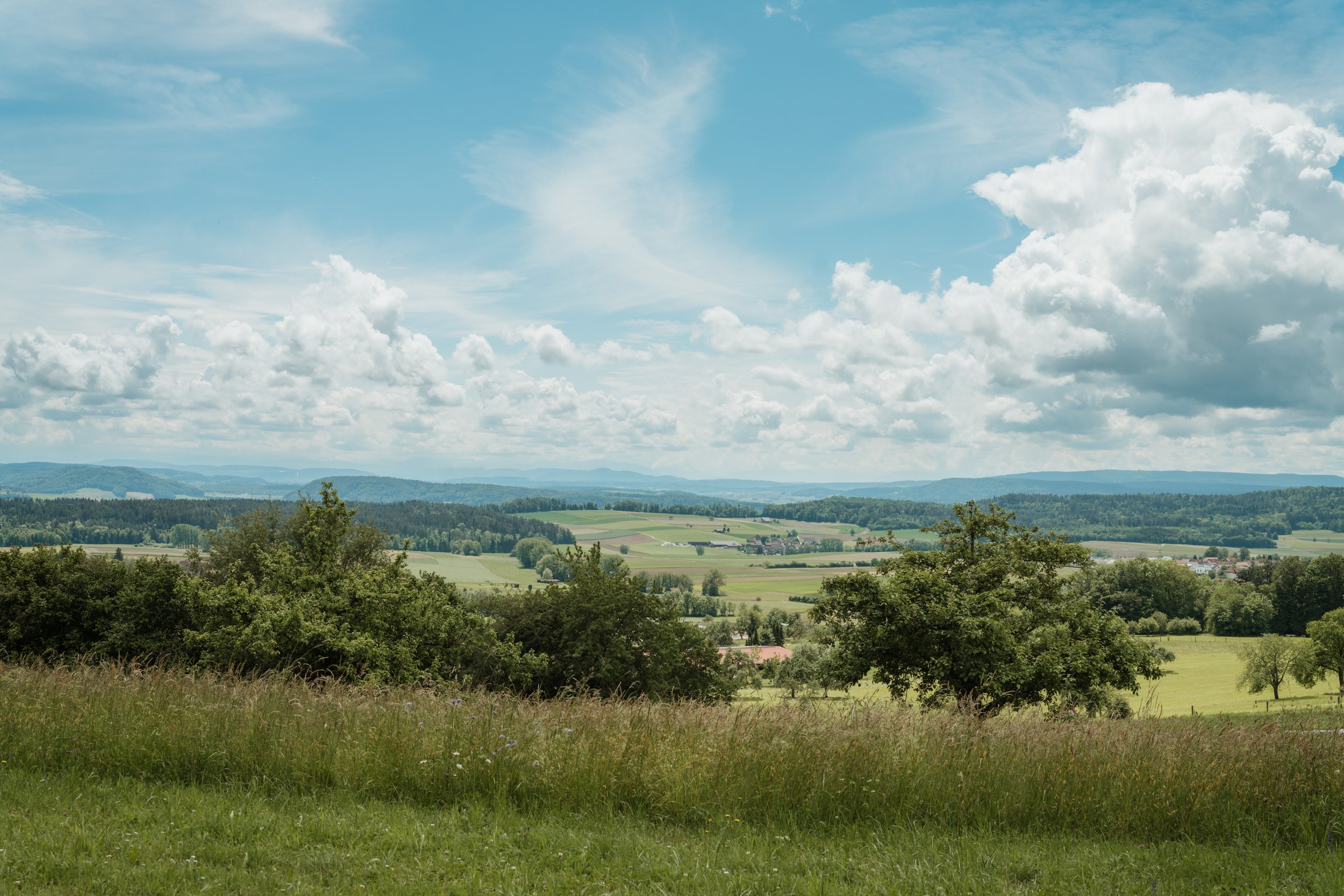 Landschaft mit Wäldern, Feldern und einem blauen Himmel mit Wolken