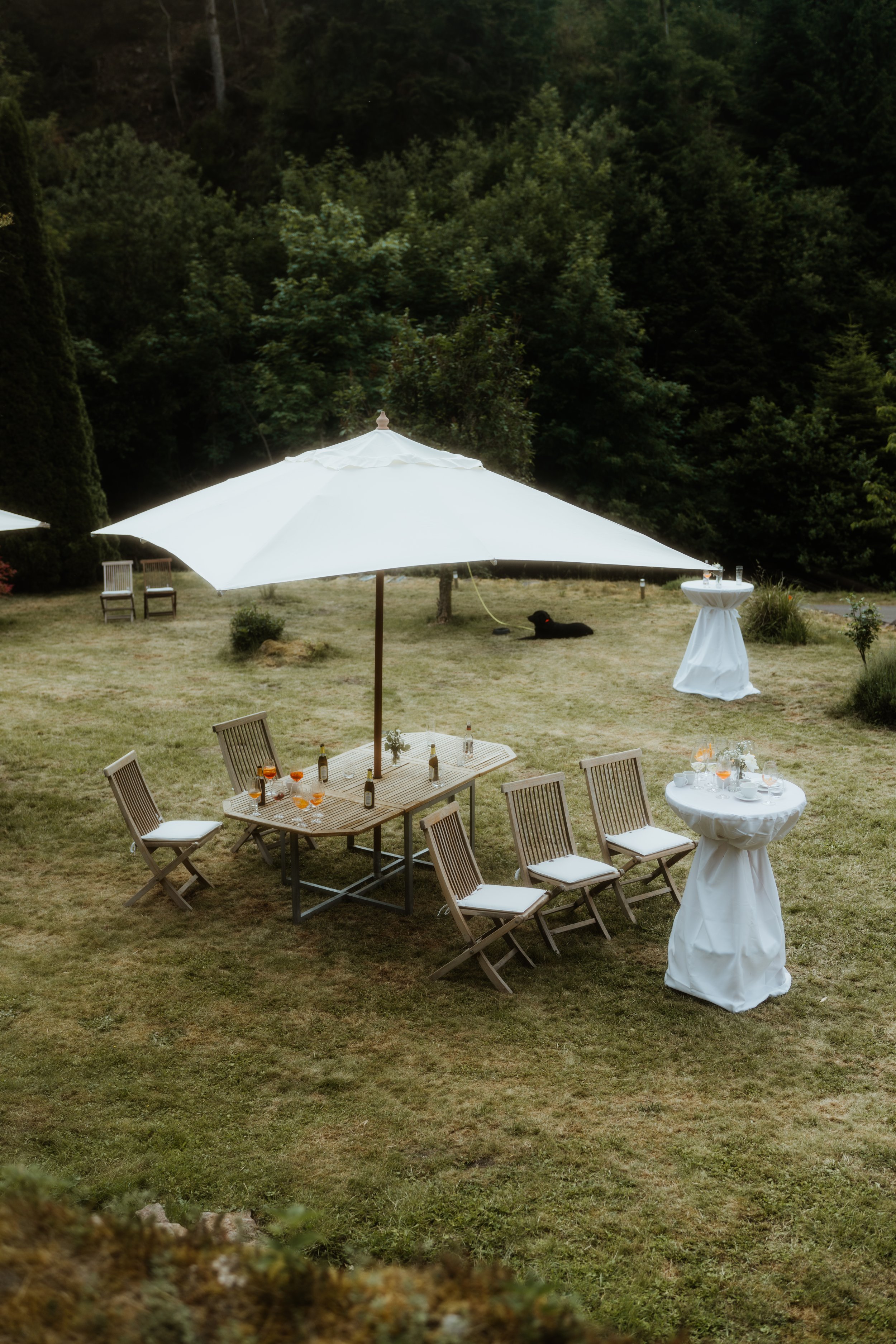 Ein Garten im Freien mit einem großen weißen Sonnenschirm, einem Tisch mit Gläsern und Flaschen, mehreren Stühlen, einem runden Stehtisch mit Stoffbezug, Bäumen und einer Wiese im Hintergrund.