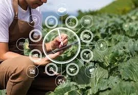White Paper: Overcoming AI Adoption Challenges for Small and Medium-Sized Businesses in Manufacturing and Agriculture