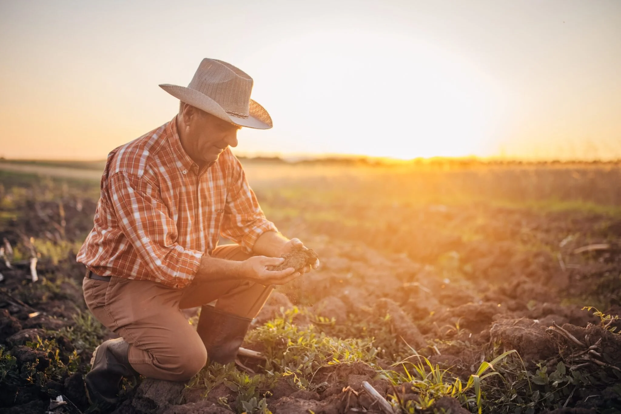 AI Farming, AI Agriculture, AI Agribusiness, AI MVP