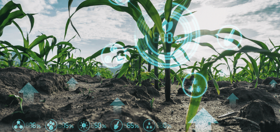 AgriBusiness, AgriTech, AIfarming