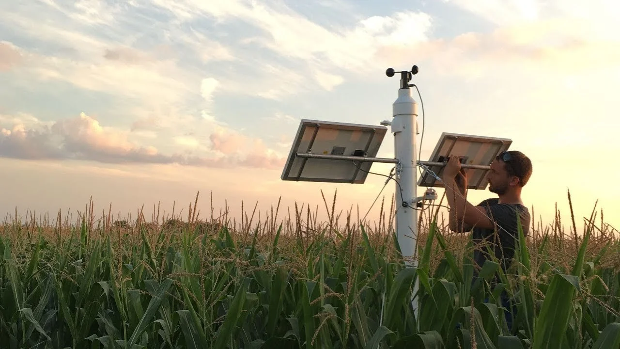Field Monitoring: Real-Time Crop Health Insights