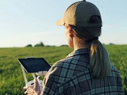 Field Monitoring: Real-Time Crop Health Insights