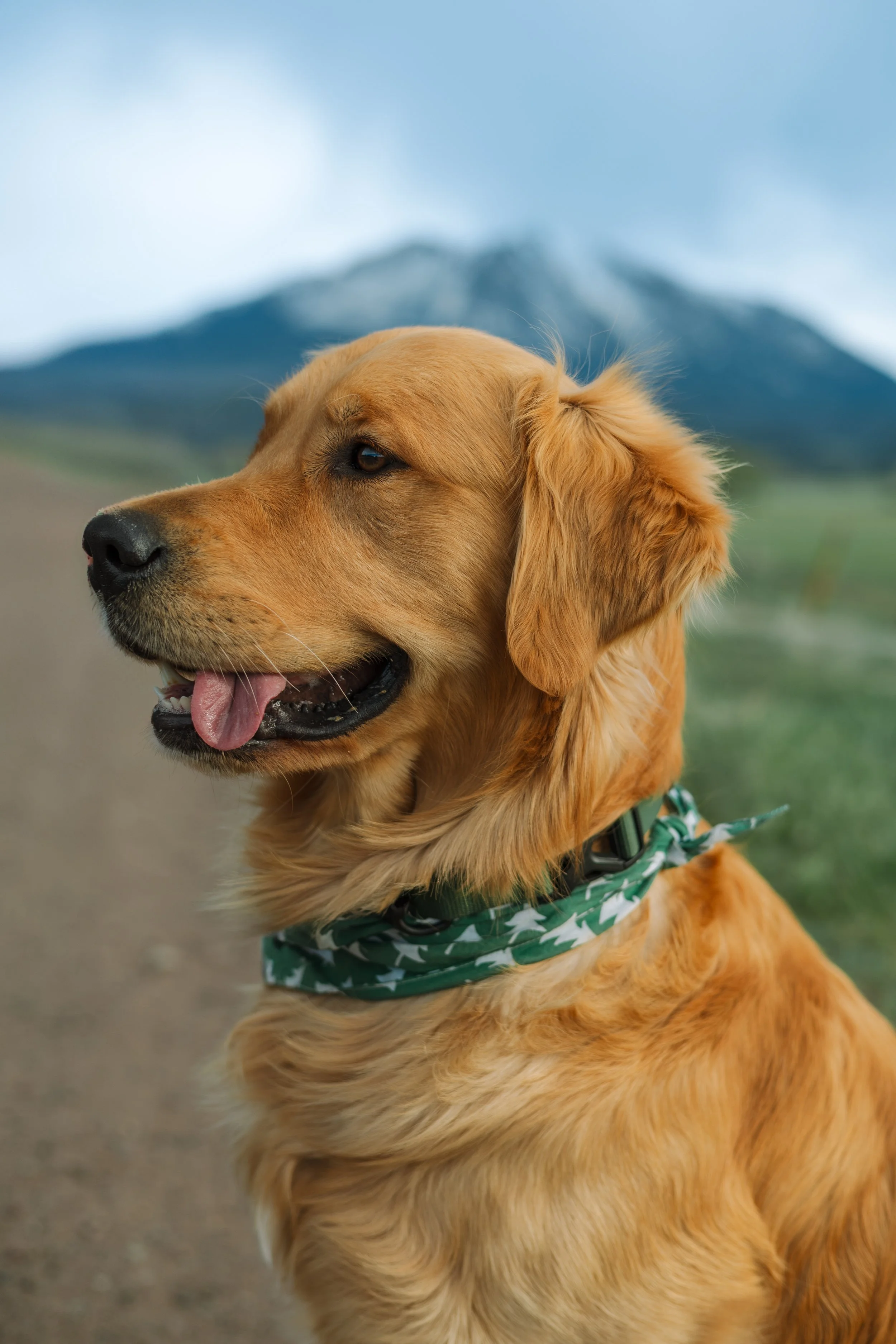 20250503 Evi_Sam-Ranches-16.jpg