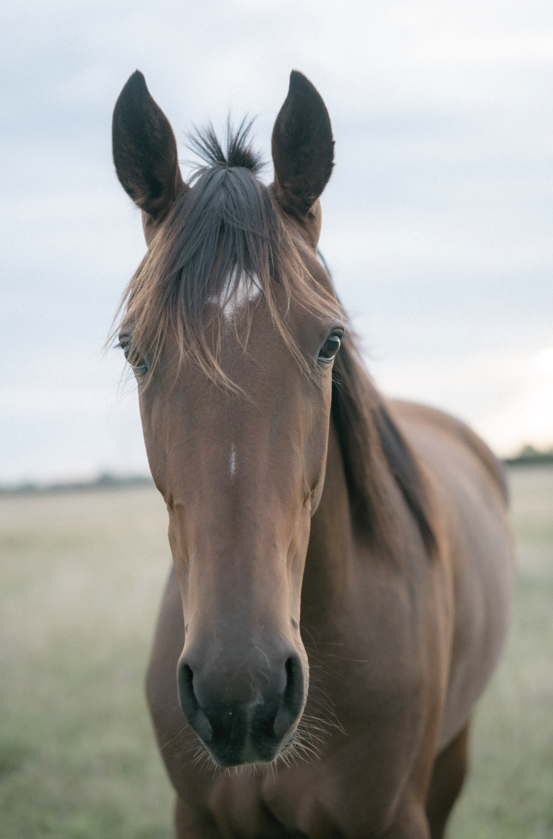 Screenshot 2026-02-03 at 4.12.35 PM.png