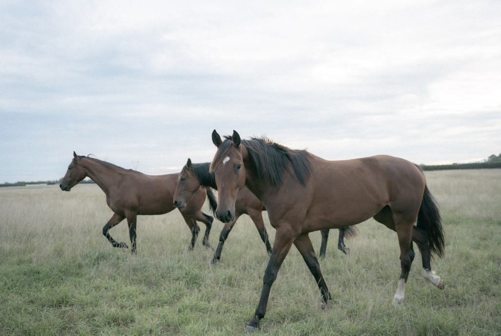 Screenshot 2026-02-03 at 4.12.07 PM.png