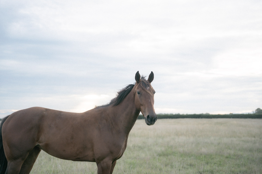 Screenshot 2026-02-03 at 4.12.47 PM.png