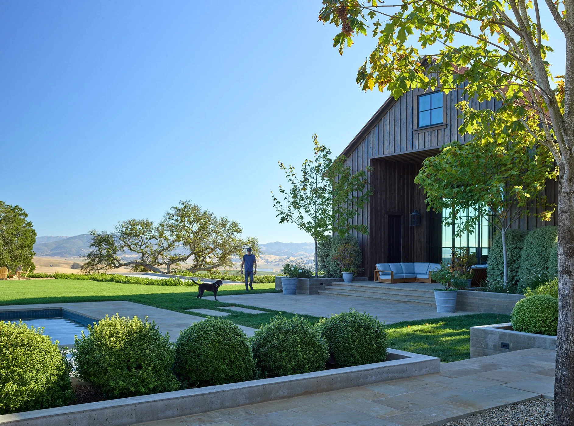 2 green_pet2208-023.jpg