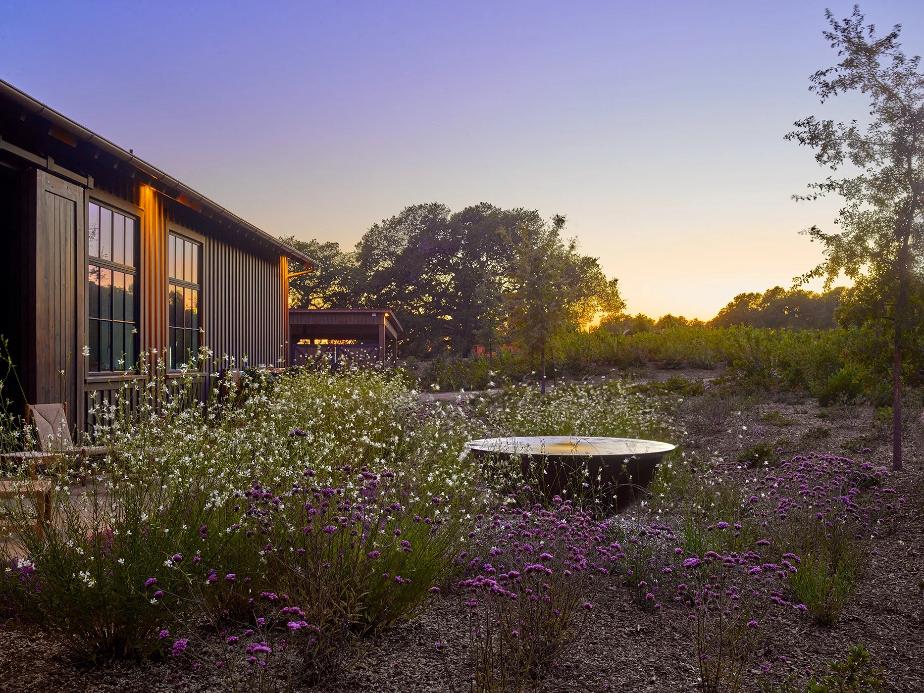 12  green_pet2208-144.jpg