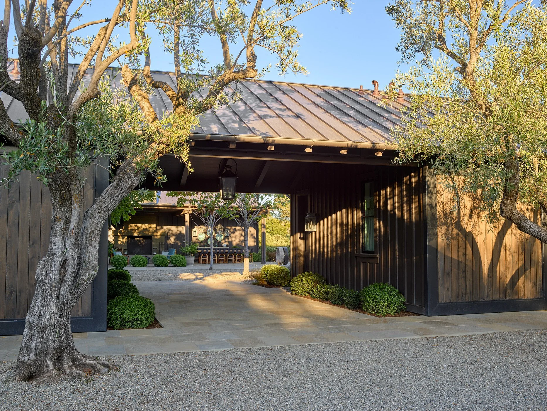 6 green_pet2208-074.jpg