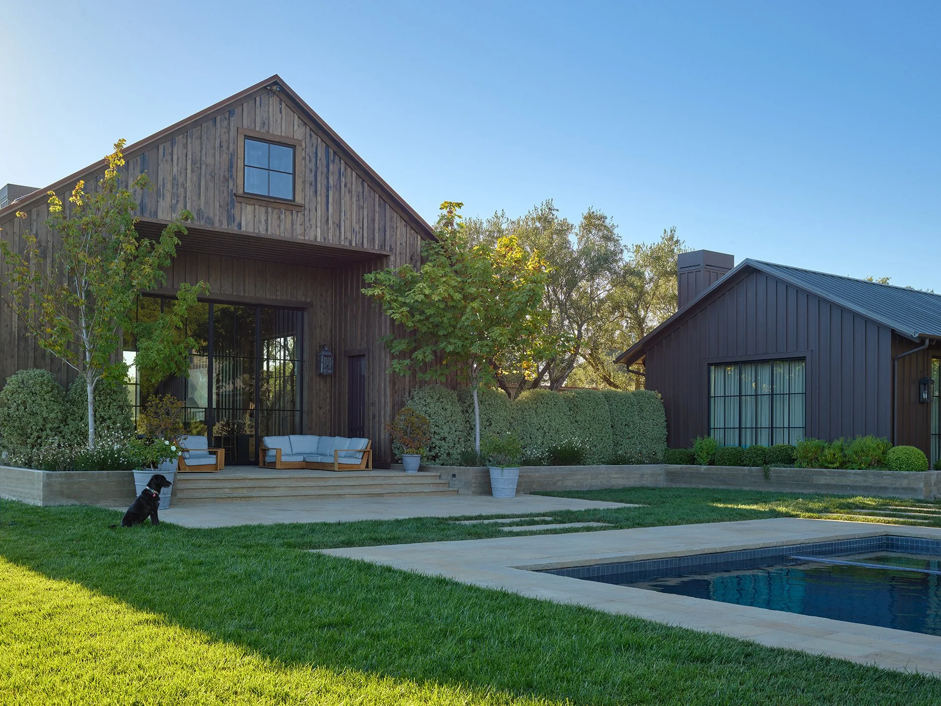 3 green_pet2208-035.jpg