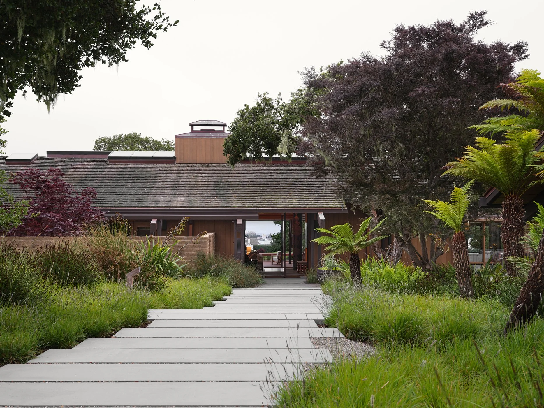 2 3334-17Mile-Drive-4802.jpg