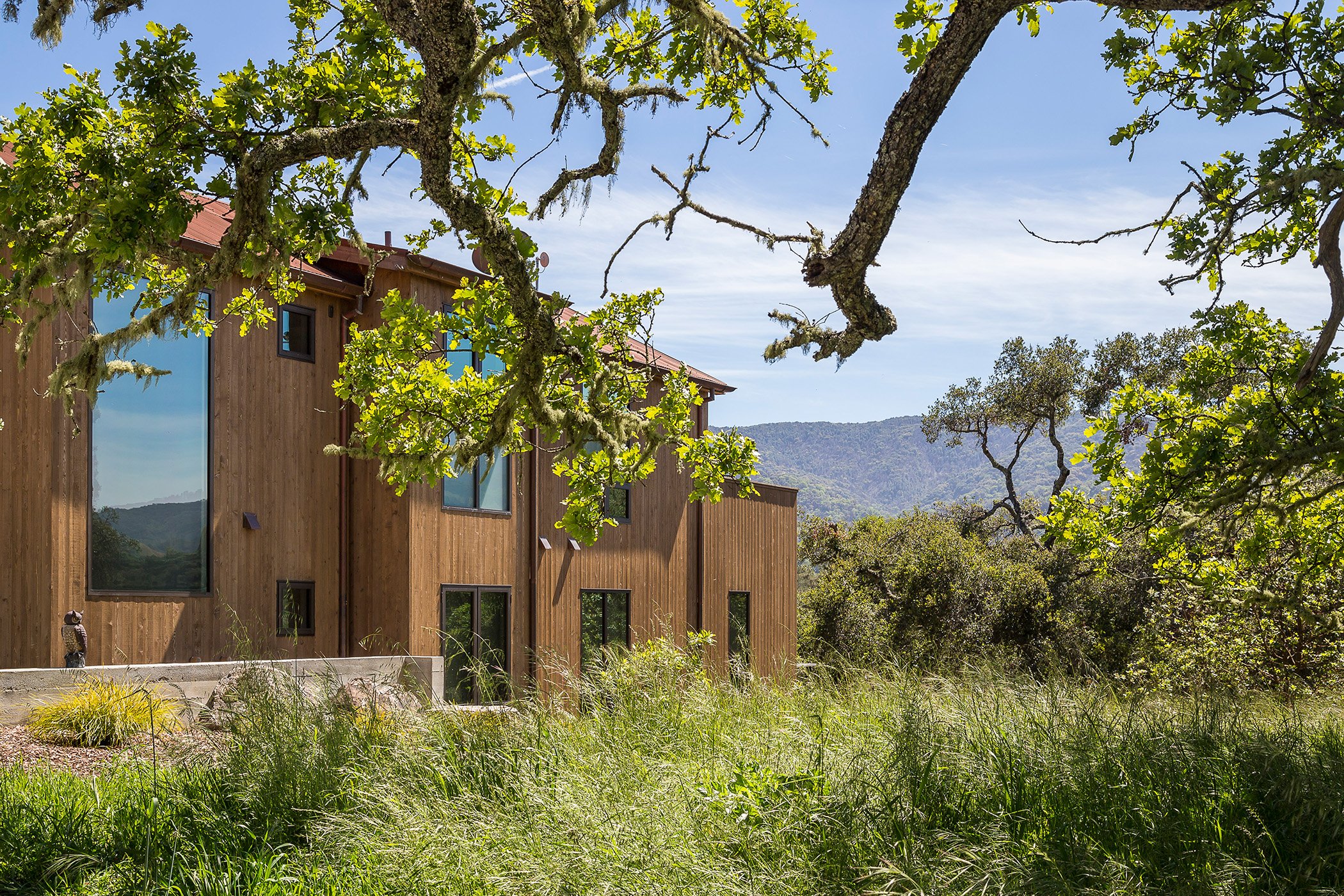 8-5 Red Tail Trace-27.jpg