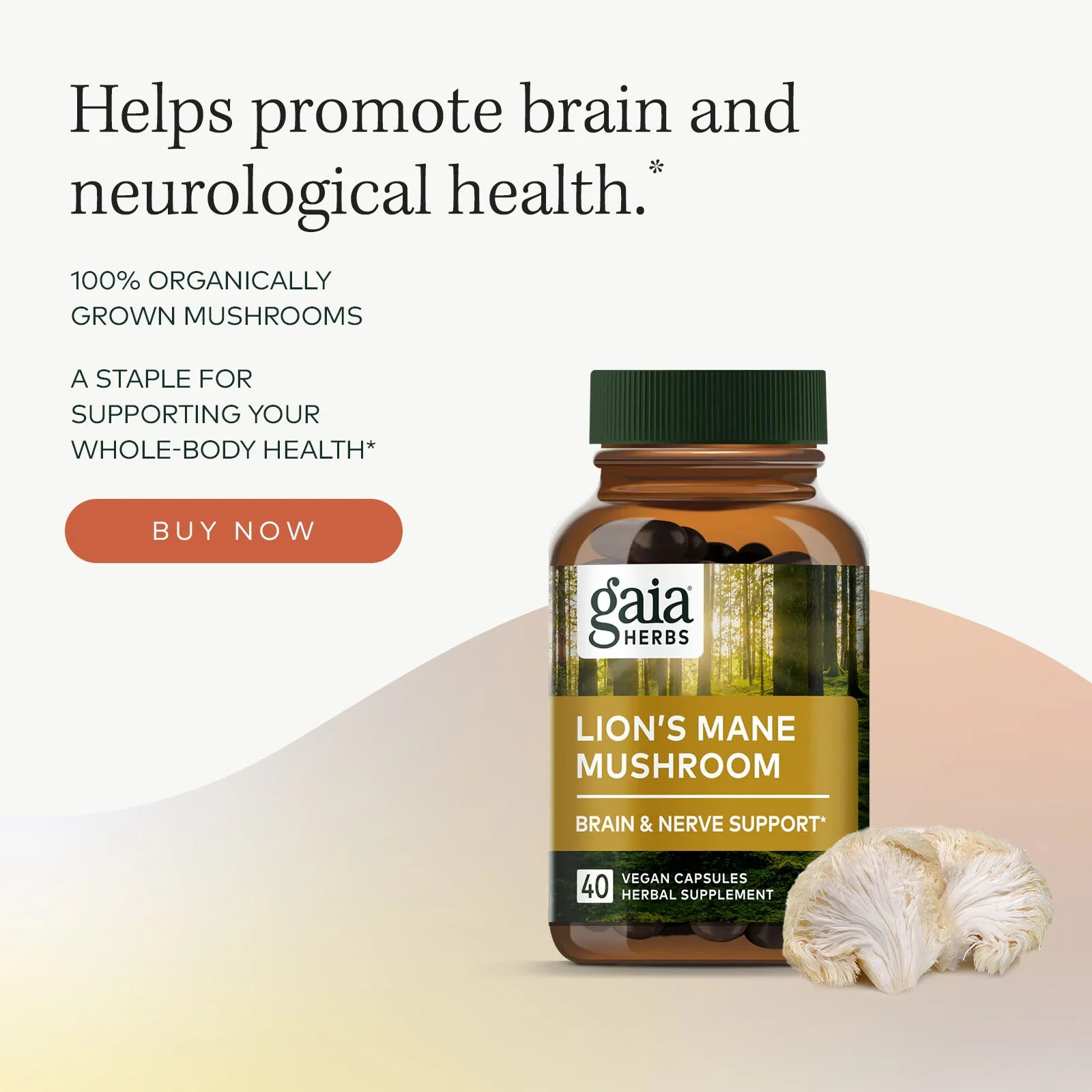 GaiaHerbs_Banner2_V2_Resizes_LionsMane_v4_1x1.jpg