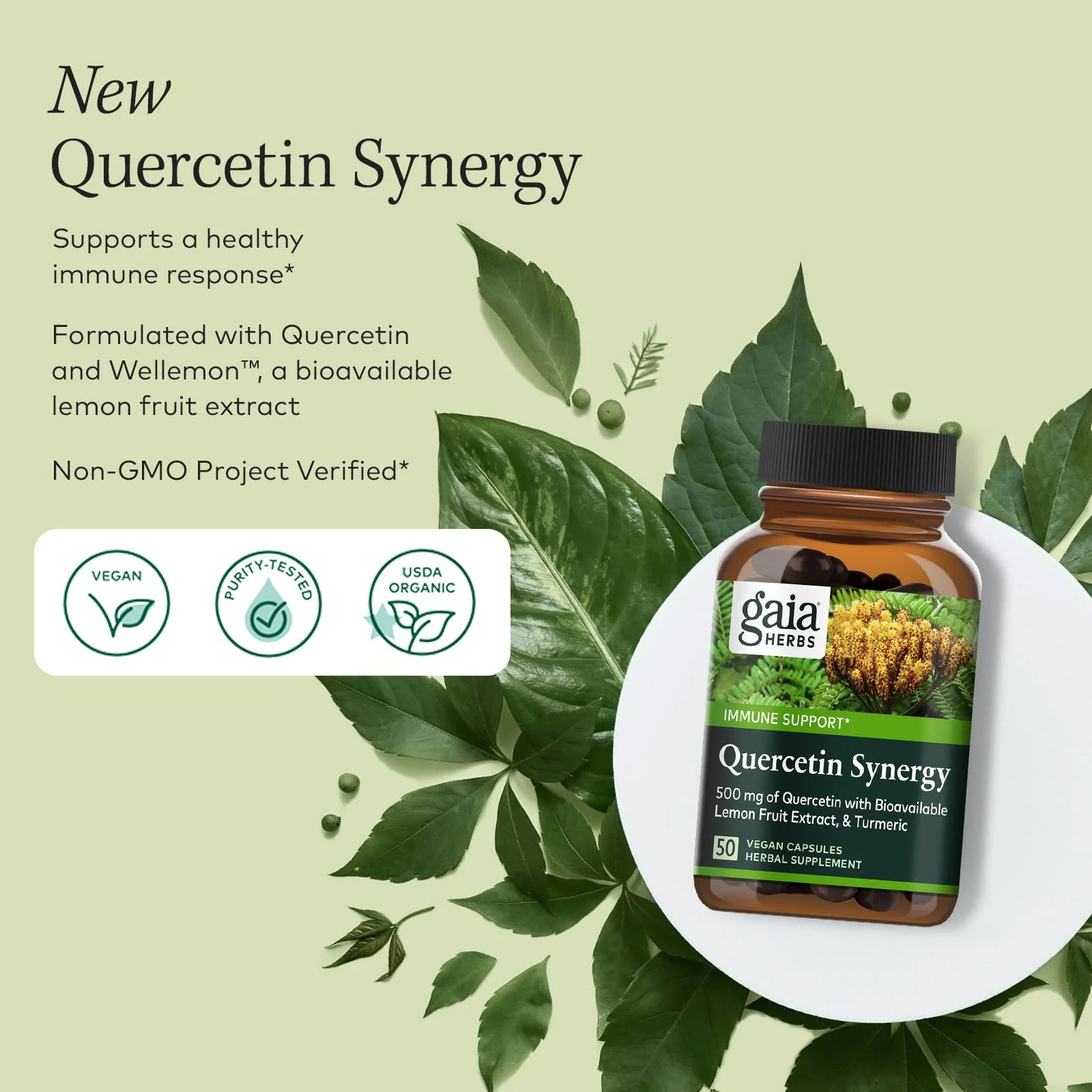 GaiaHerbs_Banner5__QuercetinLaunch_V1_Quercetin_A_1x1.jpg