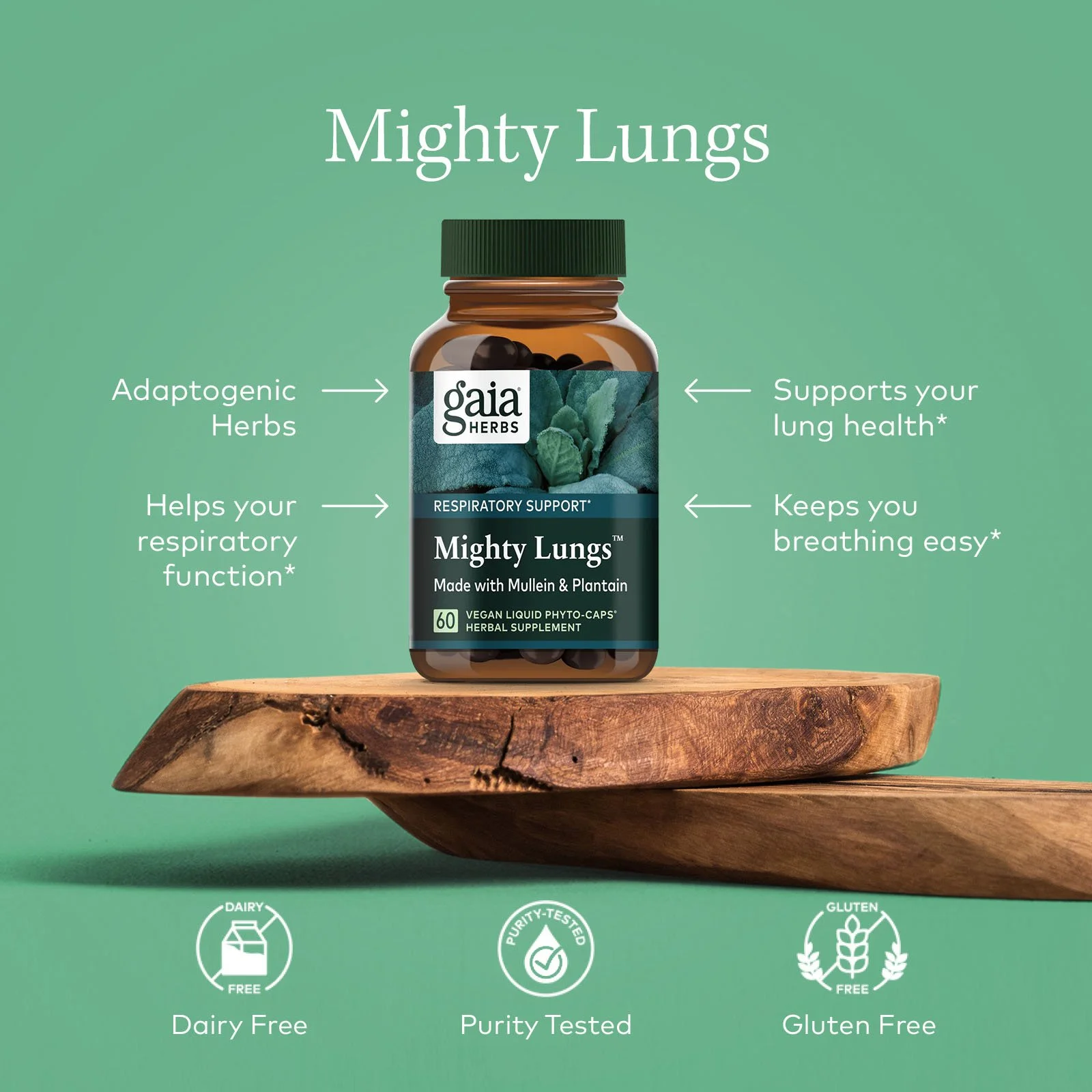 GaiaHerbs_Banners1_V1_MighytLungs_A_1x1.jpg