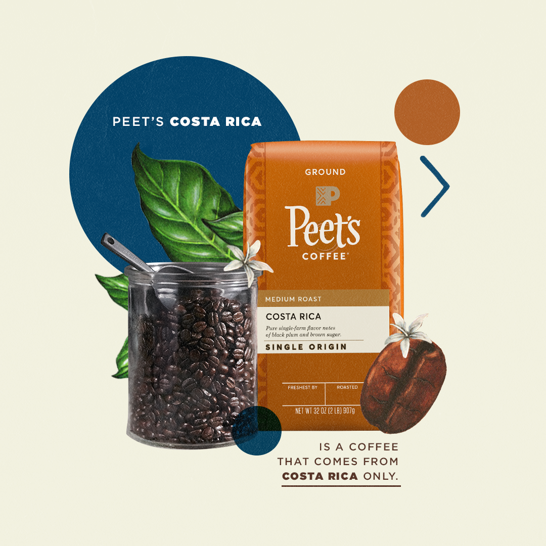 Peets_Social_RoastTypes_v2_.png