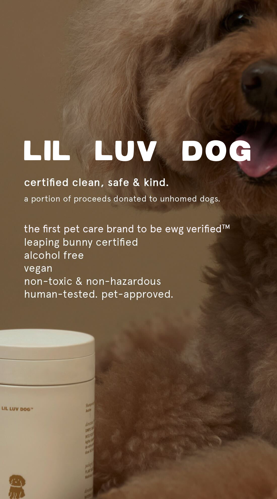 LLD IGS 11_IG_Post.png