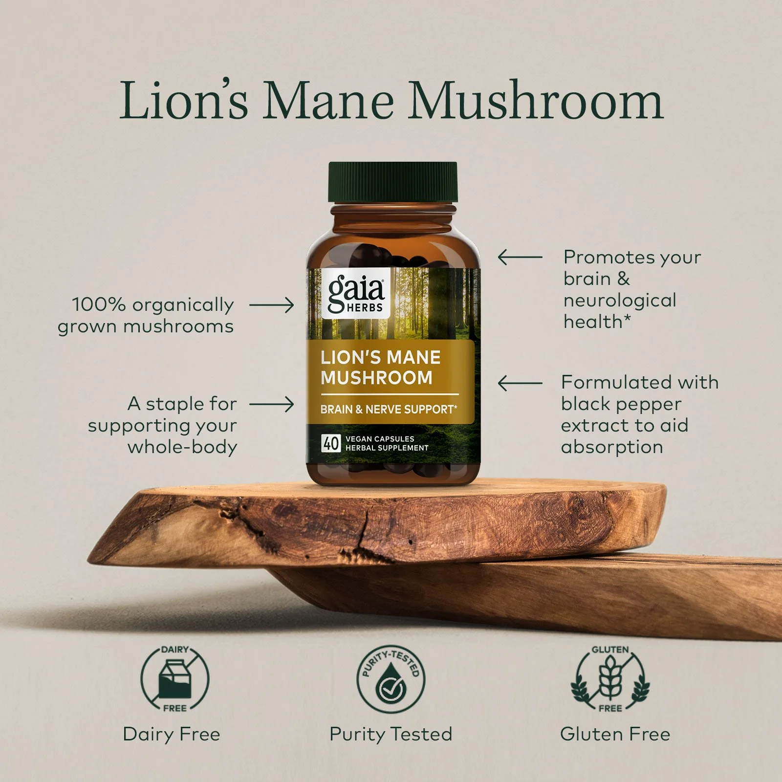 GaiaHerbs_Banners1_V1_LionsMane_A_1x1.jpg
