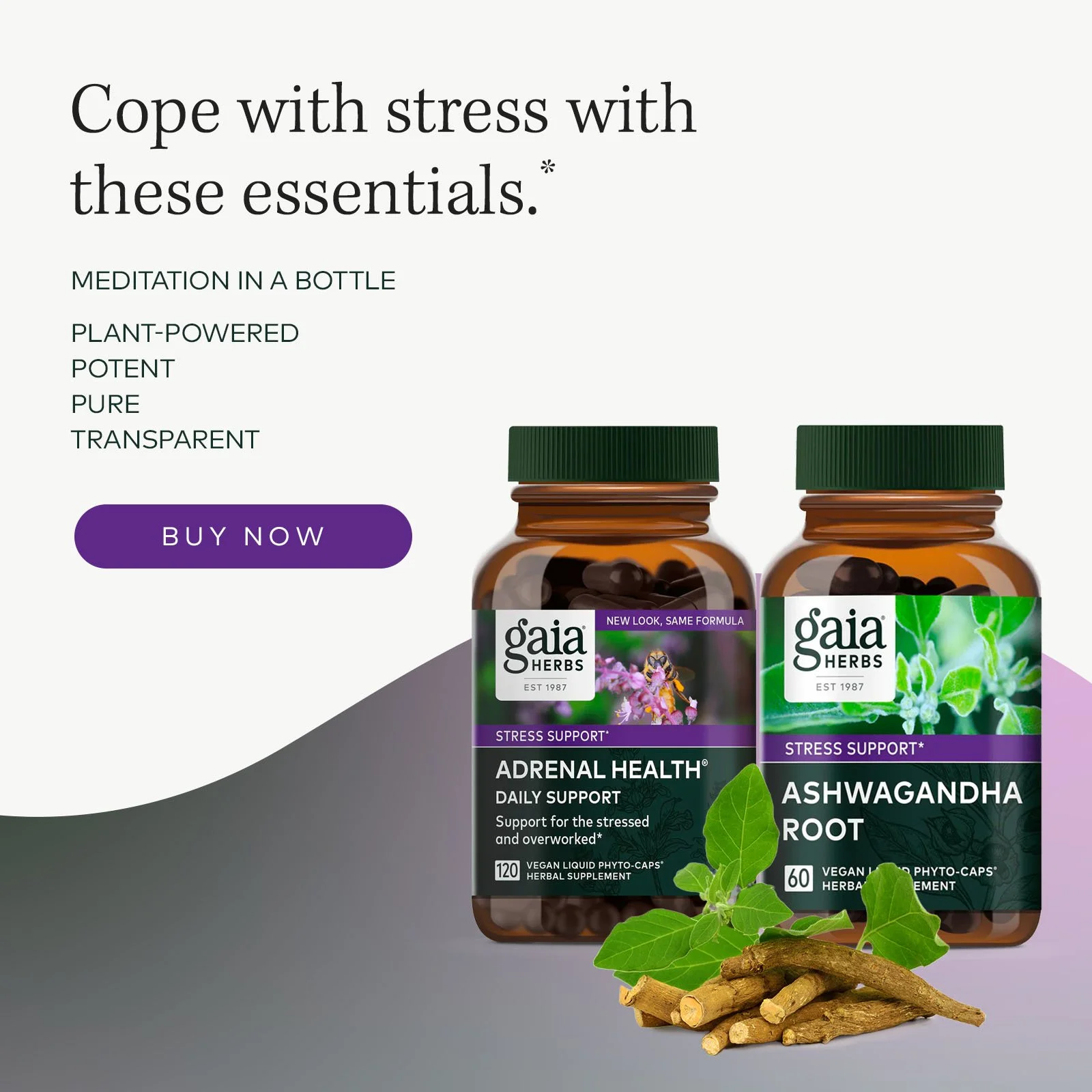 GaiaHerbs_Banner2_V2_Resizes_StressSupport_v4_1x1.jpg