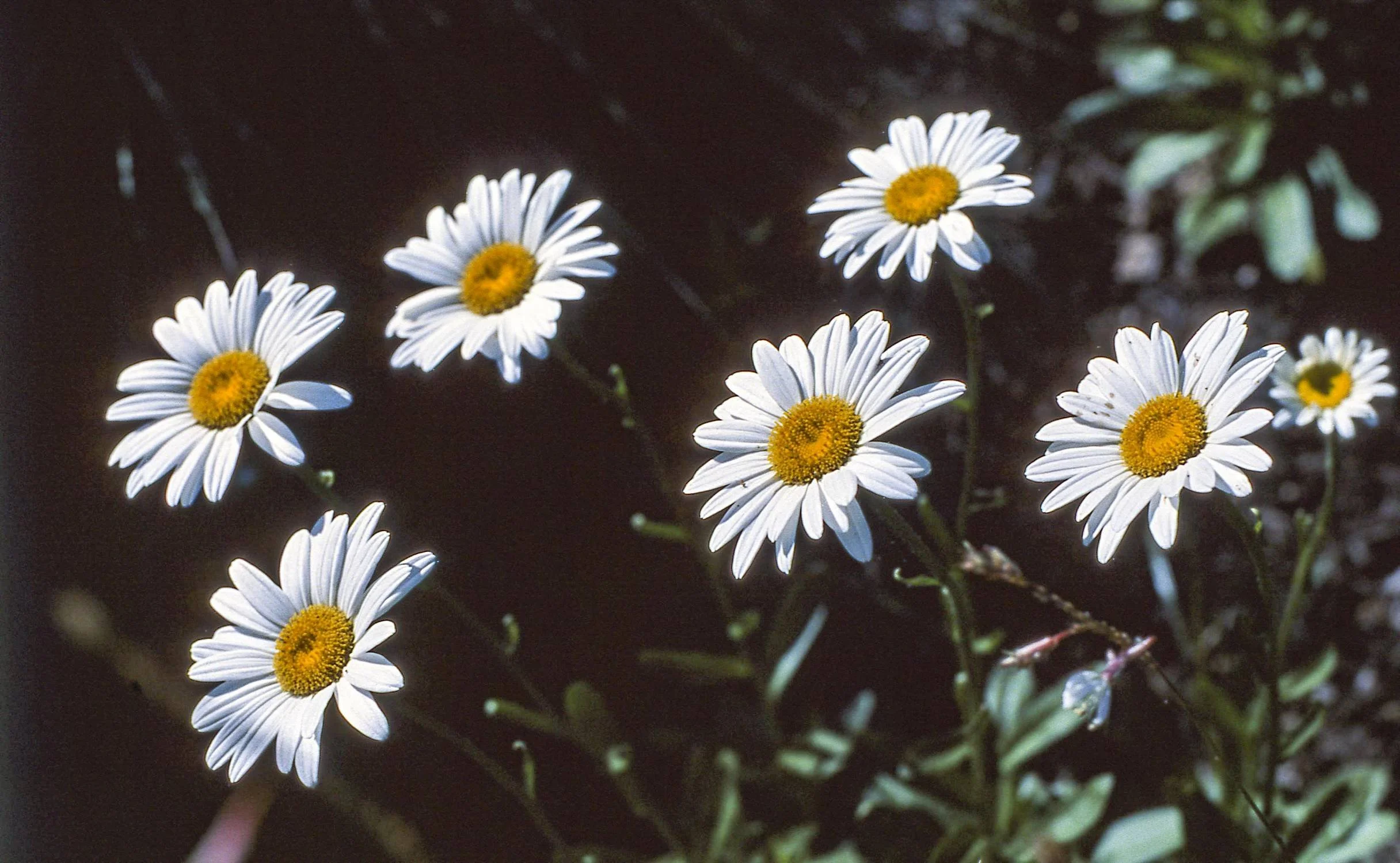 1216x749x2.jpg