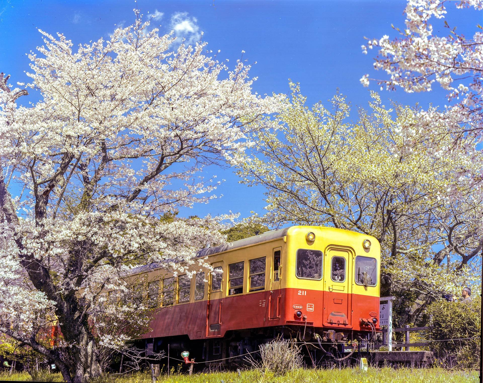 960x761x2.jpg